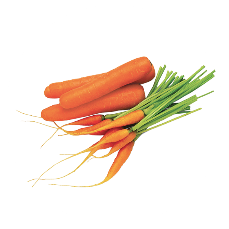 Carrots 600px