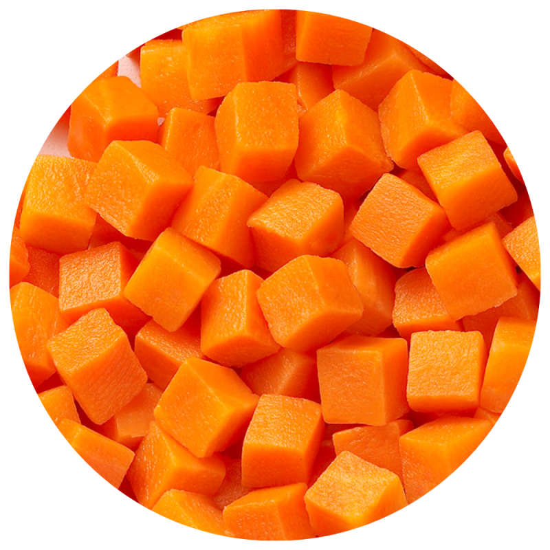 Carrot circle icon 1000x1000px
