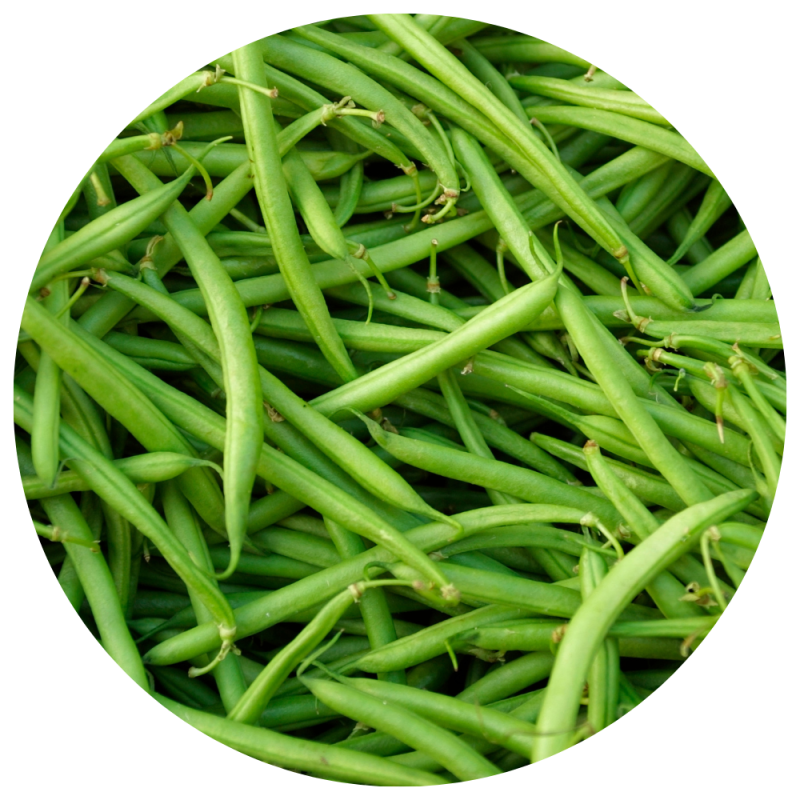 Green beans circle icon 1000x1000px