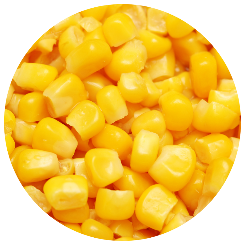 Sweetcorn circle icon 1000x1000px